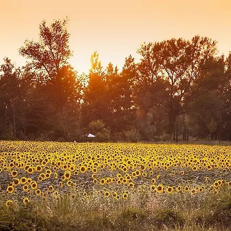 Borgo Sant'ippolito Country 4* Ginestra Fiorentina